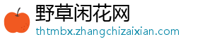 曼晚：曼城可能冬窗追逐库萨诺夫，转会费预计2000万英镑-野草闲花网